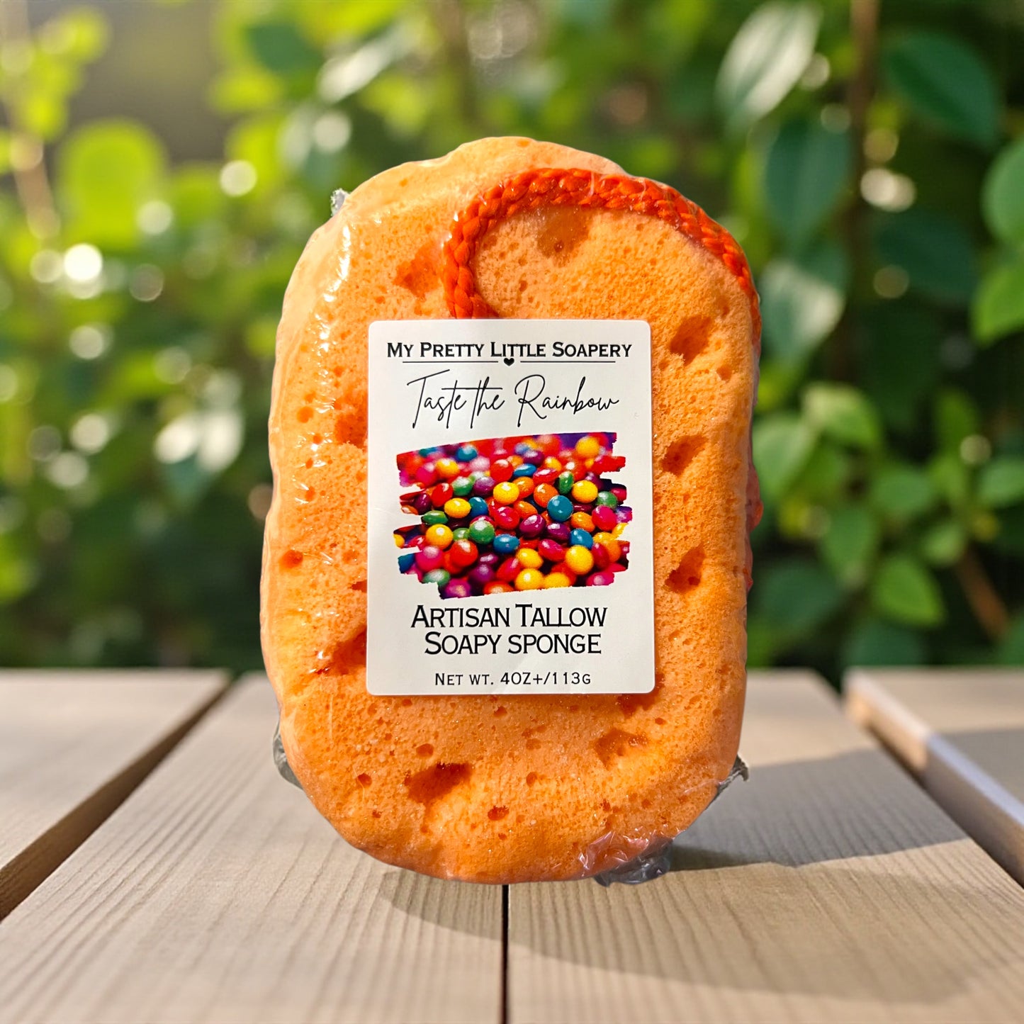 Taste the Rainbow Soapy Sponge